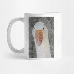 A Swan in relief Mug